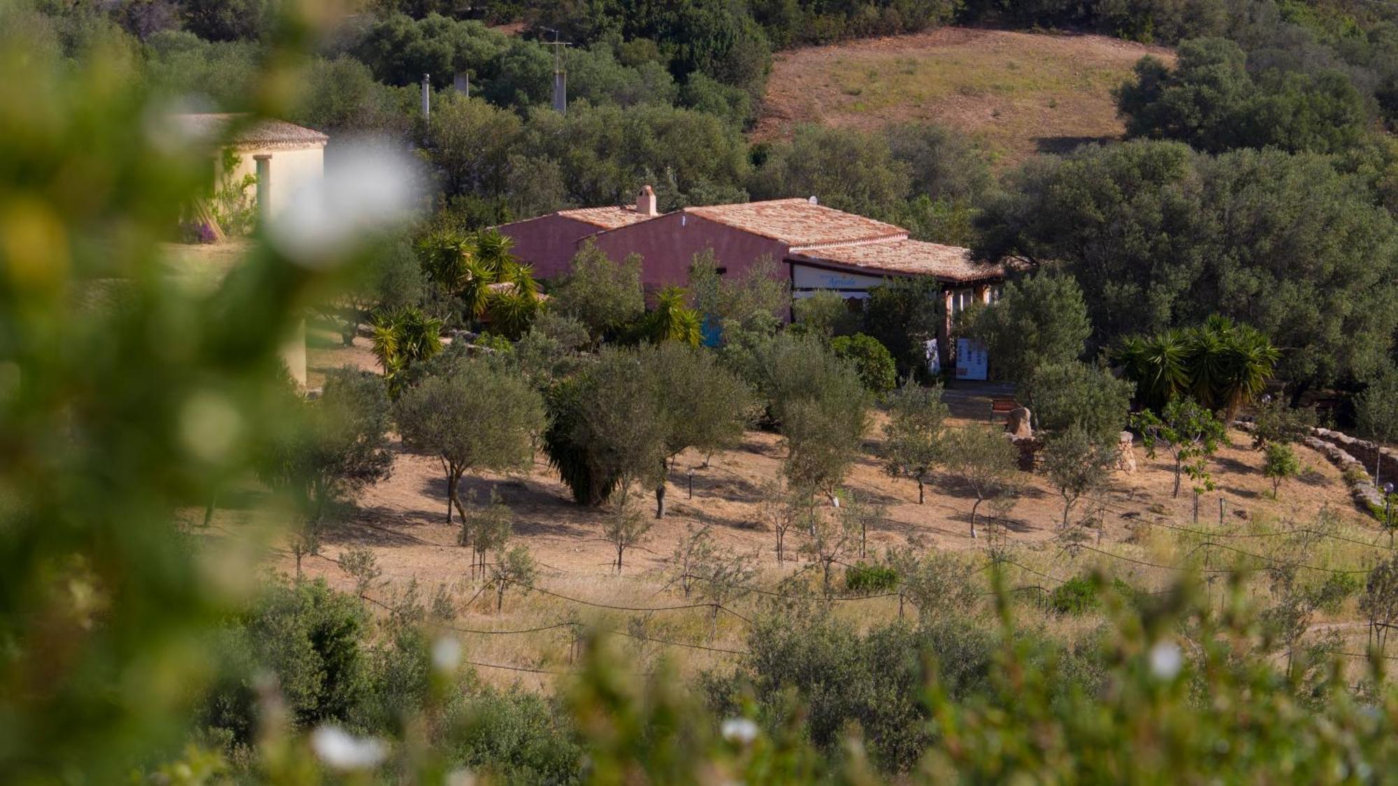 Agriturismo Agrisole Ольбія Екстер'єр фото
